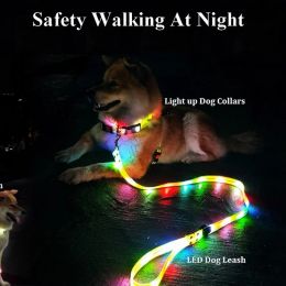 Laisses Illuminez la laisse de chien avec un ensemble de colliers, corde en PVC imperméable, rechargeable par USB, brille dans la nuit, sécurité visible, marche nocturne