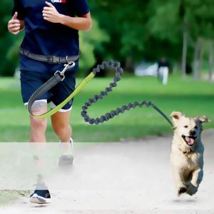 Riemen Hondenriem hardlopen jogging hondenriem sport verstelbaar wandelen handvrij Tailleriem uniek Reflecterende hond Dubbel trektouw
