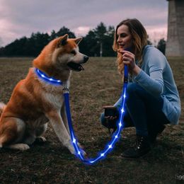 LEASHESHEIDS DAG HONDEN RIJDENDE HANDHELD TAILDWORD NYLON Elastische hond Leads voor het rennen van joggingavond Walking Safty Dog Rope Pet Pets Supplies