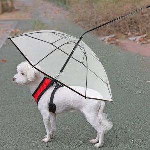 Laisses Parapluie transparent pour chien de compagnie Parapluie pour animaux de compagnie avec laisse de chaîne Doggie Rain Snow Day Walking Umbrella CShape Poignée Angle réglable