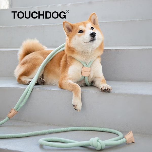 Laux Pet Dualpurpose Integrated Round Rope Dog Lancing Dog Lancing Dog Coffre Vest Dog Dog Lash