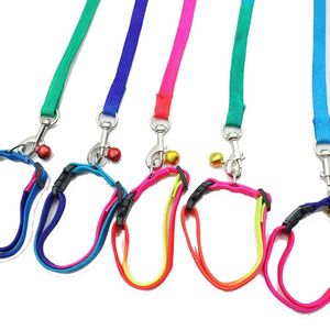 Laux Pet Pet Rainbow Dog Cat Collar Lash avec Bell Nylon Dog conduit un harnais de corde de traction colorée