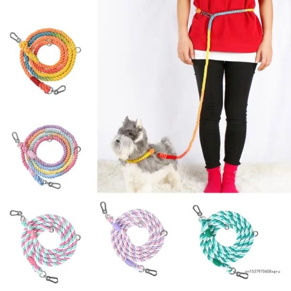 Correas Correa de Nylon para Perros Arco Iris para Entrenamiento, Correa para Caminar para Perros Grandes, medianos y pequeños, Cuerda Resistente para Caminar