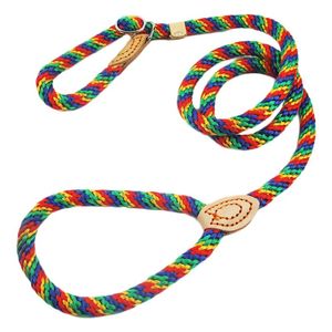 Laisses Slip Dog Leash Coloré Ceinture de Chien Corde Laisse Collier Laisse d'entraînement pour Petits Moyens Gros Chiens Pitbull Bulldog Accessoires pour Chiens