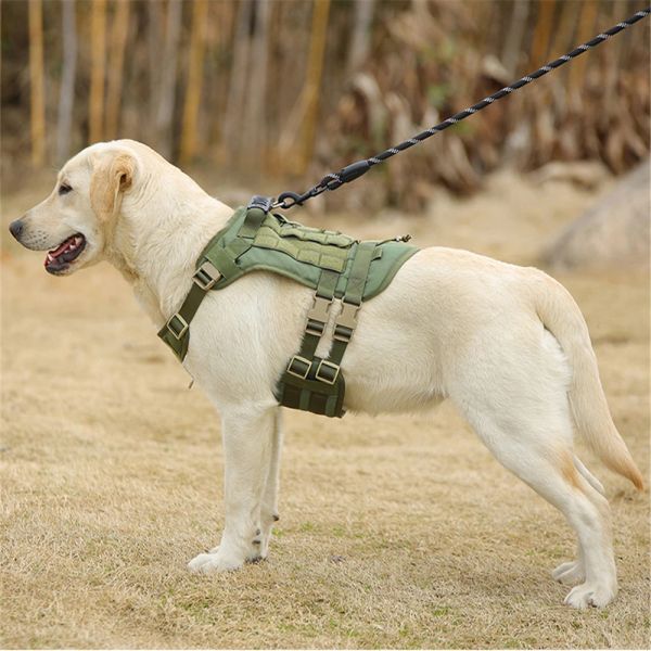 Harnais tactique pour chien, laisses, gilet tactique militaire pour chiens de grande taille, entraînement en plein air, collier de chien étanche, sangle arrière de poitrine