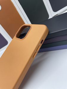 Étuis en cuir avec coffre-fort magnétique pour iPhone, pour modèles 15, 14, 13, 12 Pro Max, 13, Mini, chargement sans fil