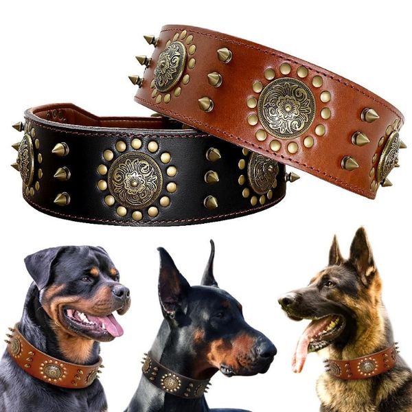 Collar de cuero para perro grande, collares con tachuelas Pitbull para perros medianos grandes, Collar duradero de cuero genuino para mascotas Brown253J