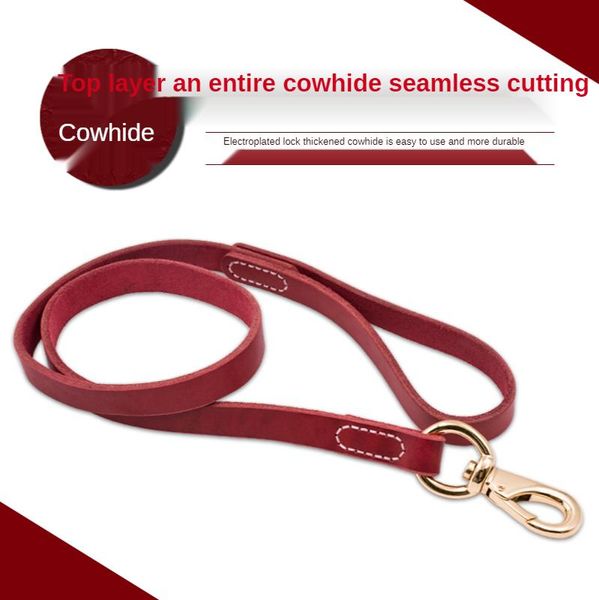 Correa de cuero para mascotas Correas para perros medianas y grandes Golden Retriever Border Collie Husky Leads Accesorios Suministros Collares