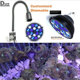 Lumière d'aquarium LED avec lampe de récif dimmable par38 Bulbe pour nano réservoir d'eau salée des algues de corail marin