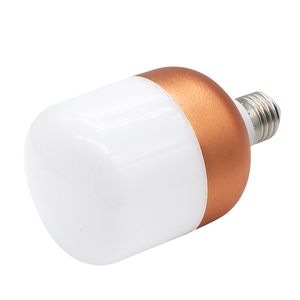 Bombillas de luz LED 220V E27 lámpara Bombillas lámparas Led 6W 10W 15W 20W 28W 38W bombilla de ahorro de energía LED Lampada para el hogar
