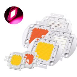 Puce Led 50W Lumière du Soleil Plante à Spectre Complet Élèvent la Lumière 380nm - 840nmr Intensité Super Lumineuse SMD COB Lumière pour Bricolage Hydroponique Fleurs Cultivant Lampe Semis oemled