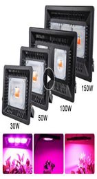 LED COB LED à spectre complet élèvent la lumière de plante légère 150W 100W 50W 30W lumière d'inondation de croissance d'épi pour la lampe Phyto de légume de fleur de plante2241029