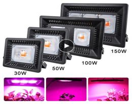 LED COB Spectre complet LED Culture de la plante lumineuse Lumière 150W 100W 50W 30W COB COB CROISSANCE LUMIÈRE POUR LEGÉTAGE DE LA PLANTER