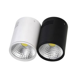 LED Cylindre Plafond Down Light COB Suspension Suspendue Projecteurs Montage En Surface LED Appareils D'éclairage Pour La Maison 20W 30W