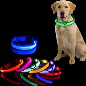 Led collier de chien lumière collier anti-perte pour chiens chiots nuit fournitures lumineuses produits pour animaux de compagnie accessoires charge USB / batterie GC1888