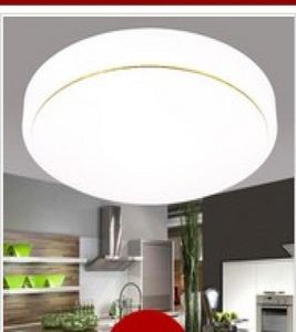 LED lichtkoepel ronde droplight van zitkamer gang balkon lamp studeerkamer lampen verlichting lampen en lantaarns AC110V250V8266222