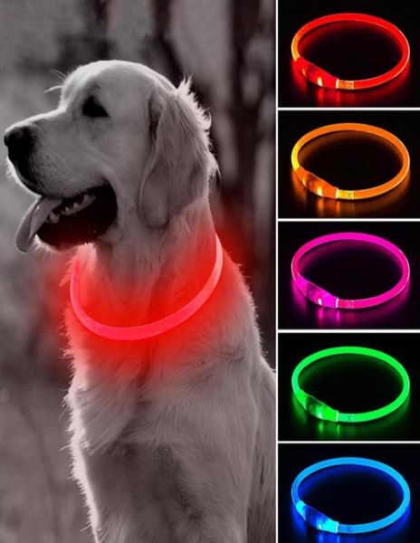 Les colliers de chien Flash LED allument le collier de cou de chiot collier lumineux pour petit moyen grand animal de compagnie USB Rechargeable Cuttable4895327