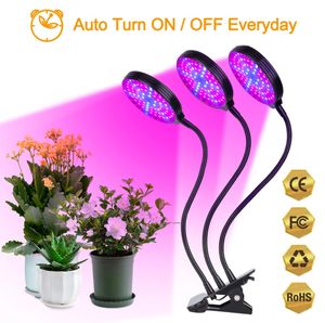 LED Full Spectrum Phytolamps USB Grow Light met Timer Desktop Clip Phyto Lampen voor Planten Zaailing Bloemen Grow Box