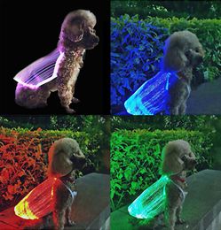 LED GLOUGHT CAT DOGL APPELEL USB RECHARGable Colorful Antilost Luminous Pet Supplies3437398