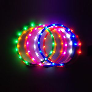 Collier de chien lumineux LED USB chargeant la nuit pour animaux de compagnie colliers de chiens lumineux colliers de sécurité de nuit rechargeables collier clignotant 20220108 Q2
