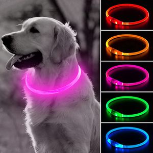 Collares de perro que brillan intensamente LED Carga USB Sparkle Collar de mascota Noche Collares de perros luminosos Noches recargables Collar intermitente de seguridad 8 colores Venta al por mayor B30