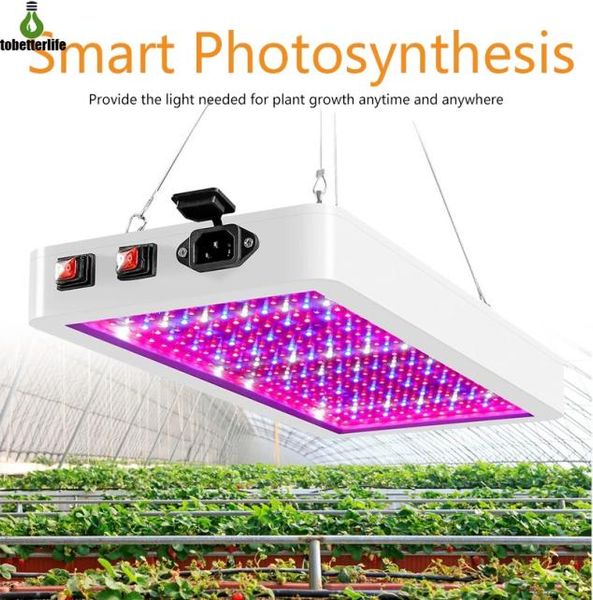 LED élèvent la lumière 1000W 2000W Phytolamp 2835 LED puce Phyto lampe de croissance 85265V spectre complet éclairage des plantes pour plante d'intérieur 5374149