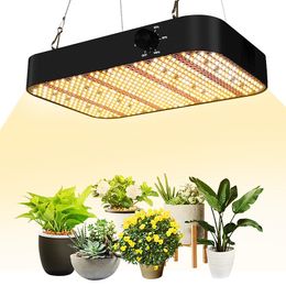 LED Grow Light, 1000W LED's dimbare vol spectrum plantlichten met maisy ketting en UV IR -LED's voor binnenplanten zaaien Vegbloem groeien 200w verstelbare hangende kit