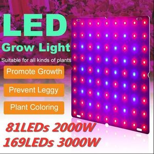LED-groeilicht 2000W 3000W 81 LED's / 169 LED's Phytolamp Volledig spectrum 1 Modusschakelaar Veg Bloom Kamerplantengroeilamp