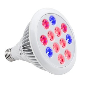 LED -lampen LED GROEF LICHTBELBE FASTELAAR VOOR GRASHOUSE ORGANIC E26 12W 24W 12 PCS