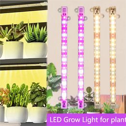 LED Culte Light Tube pour les plantes intérieures, tube LED connecté à alimentation USB pousse légère 25cm Forindoor Plantes Semis Fleur Boîte de tente de culture LED Spectre complet Phyto