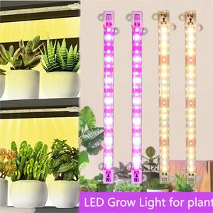 LED -kweeklichtbuis voor binnenplanten, USB aangedreven LED -buis Gweek licht 25 cm forindoor planten zaailingen bloem kweek tent doos led volledige spectrum phyto lamp