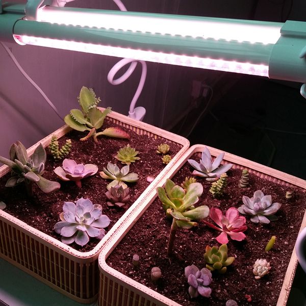 Luz de cultivo LED de espectro completo, accesorios de iluminación para plantas de 36W, panel de luces de cultivo de aluminio fabricado con UV/IR para invernadero interior, tubo T8 para jardín oemled