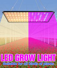 LED élèvent la lumière lampes à spectre complet Phyto ampoule lampe de croissance des plantes lumières hydroponiques graines de fleurs tente 85-265V