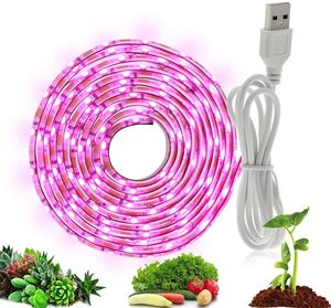 LED Grow Light Full Spectrum Plant Grow Strip Light USB 5V 2835 SMD Lampe flexible pour les semis de fleurs de plantes d'intérieur