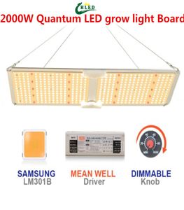LED Grow Light Quantum Board Samsung LM301b Meanwell Driver Spectrum Full Spectrum IR Red Growing Lampe pour les plantes intérieures poussant Light 220W7965432