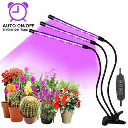 LED LED LIGHT USB USB Lámpara Fitolampy Full Spectrum con control para plántulas de plántulas Flower Fitolamp Caja de cultivo de cultivo