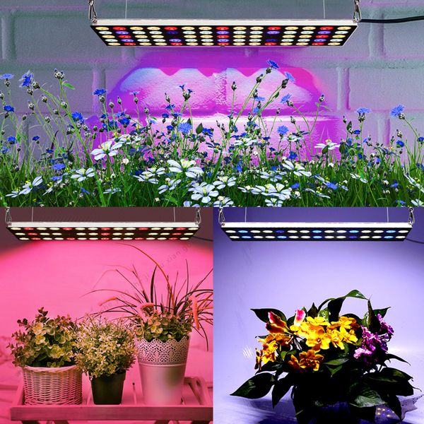 Luces LED de crecimiento, lámpara de crecimiento de espectro completo DC 12V 24V con luces LED IR UV para plantas de interior, microverdes, clones, suculentas, plántulas 100w 200w 300w