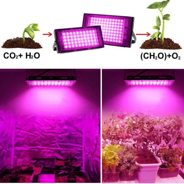 Led élèvent des lumières Phyto lampe 200W spectre complet plantes lumière hydroponique système de culture serre fleur graine poussent tente