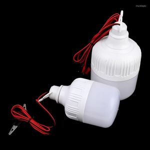 Ampoule LED Bombillas 12V Lampe 20W 30W Spot Ampoule Portable