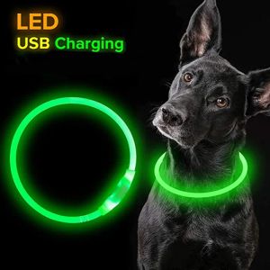 Collar de perro con luz Led, Correa luminosa de carga brillante desmontable para perros de compañía, productos con carga Usb, accesorios luminosos para mascotas