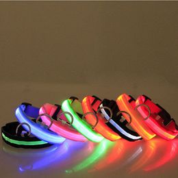 LED Light Flashing Dog Pet Collar Outdoor Lichtgevende Nacht Veiligheid Nylon Kleurrijke Ketting Leash Glow in de Dark Battery-versie