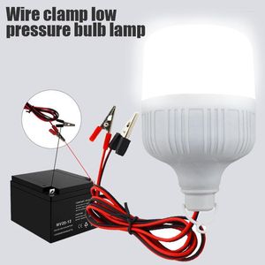 LED LUMIÈRE PORTABLE BUBBE DC 12V 5W 9W 15W FILAMENT SPOT CAMP OUTERDOOR Tent de la tente nocturne