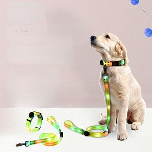 Correa de perro con luz LED y collar de perro con luz, recargable, impermeable, que brilla en la oscuridad, correa para perro con luces luminosas reflectantes para perros para seguridad de mascotas, caminar de noche