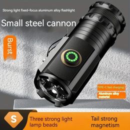 Mini lampe de poche LED puissant Type-C RECHARGAGE BATTERIE TORTH SST20 2000LM LAMPE avec aimant de queue Lanterne tactique pour le camping en plein air