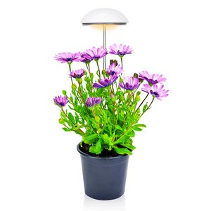 Mini parapluie LED pour plantes, jardin d'herbes aromatiques, 24 LED 20 W réglable en hauteur, minuterie, intensité variable, spectre complet, pour la croissance des plantes, diverses plantes, blanc