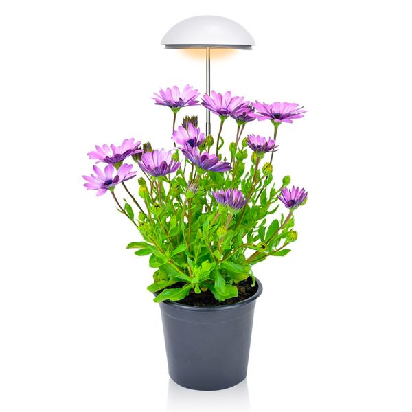 Mini paraguas LED Luz de crecimiento de plantas, Jardín de hierbas, 24LED 20w Altura ajustable, Temporizador automático, Espectro completo de cultivo de plantas, Varias plantas, Blanco