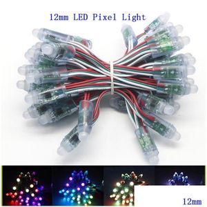 Modules LED Ws2811 Pixels Mode String 12Mm Fl Couleur Adressable Individuellement Numérique RVB Corde Lumineuse Dc5V Ip68 Goutte Étanche Livraison Dh0H1