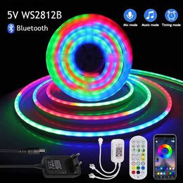 LED-neonreclame Bluetooth APP-bediening LED-strip 5V WS2812B Droomkleur neonlicht Waterdichte tv-achtergrondverlichting Home Decor Flexibele linttape Diode YQ231201