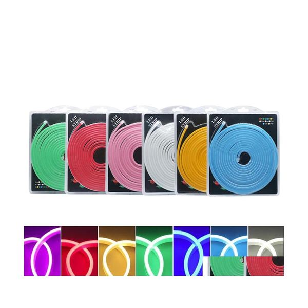 Led Neon Sign Retail Blister Kit 2835 Smd 120Led Flex Light Sile Strip Rope Dc12V Imperméable Ip65 Publicité Décoration Diy Drop De Dh8Zt