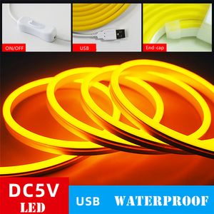 LED Neon Sign Strip Light 5V USB SMD2835 Waterdichte flexibele LED Strip DIY omgeving Licht Blauw Neon Touwlicht voor binnenhuisdecoratie 3m 5m Slaapkamer TV -computer